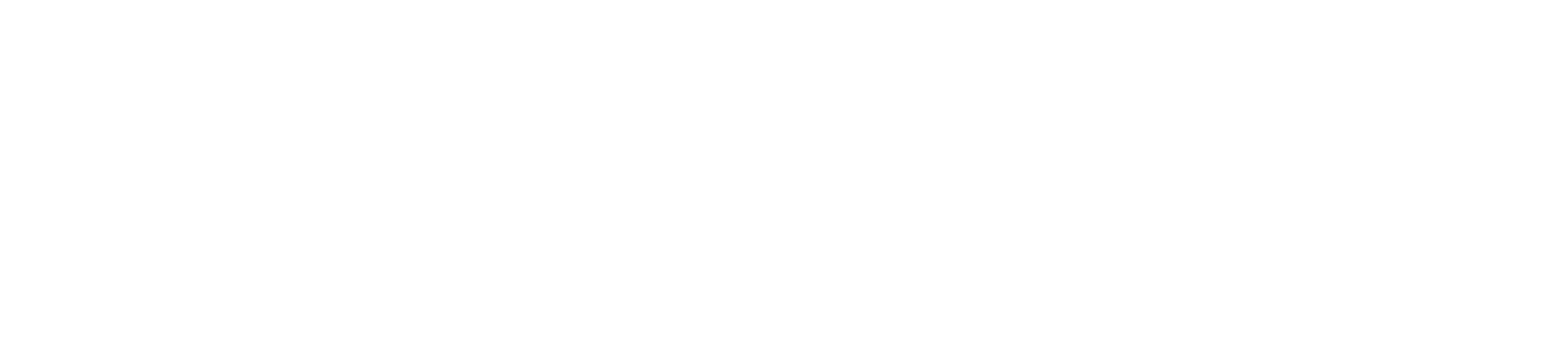 Logo Footer